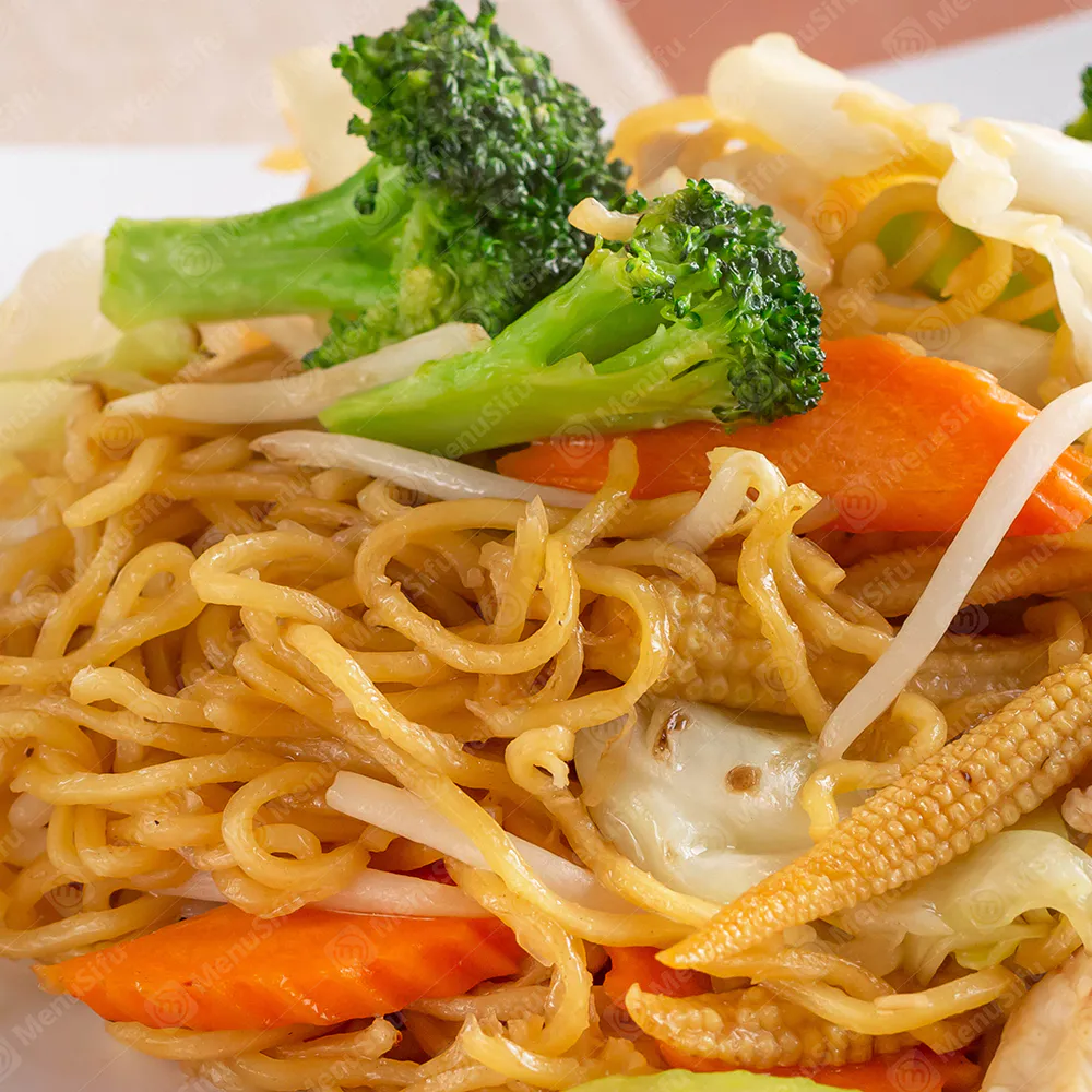 Vegetable lo mein with mixed veggies at New Golden Fountain, a Chinese Restaurant in Yonkers